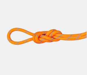 Mammut Alpine Dry Sender Rope 8.7