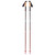 BLACK DIAMOND PURSUIT FLZ TREKKING POLES