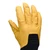 Black Diamond Tour LT Gloves