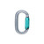 Black Diamond Oval Triple Lock Carabiner