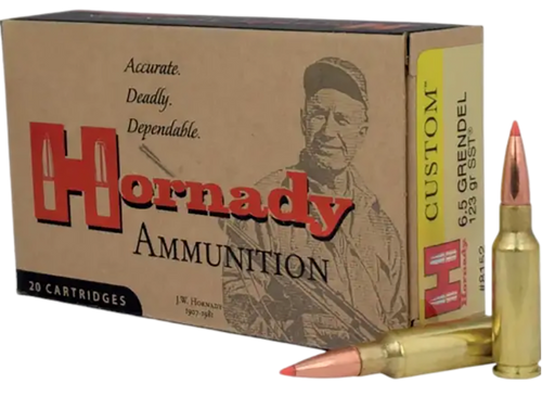 Hornady Custom, Horn 8152   Custom      6.5grn  123 Sst      20/10