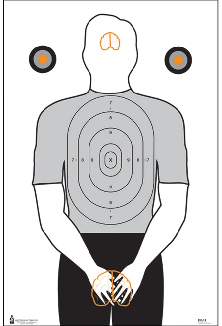 Action Target Inc Entertainment, Action Pic12100       Pltclly Incrrct Trgt   100bx