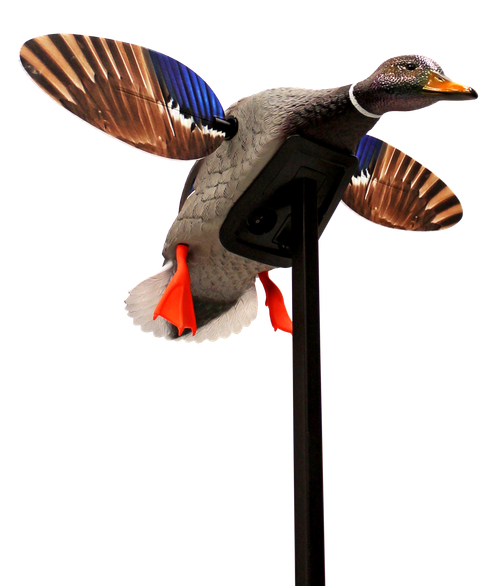 Mojo Elite Series, Mojo Hw2470   Mini Mallard Drake