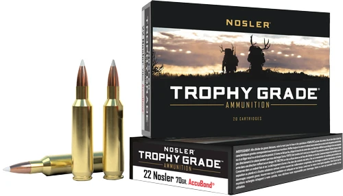 Nosler Trophy Grade 22cm - 70gr Accu Tip 20rd 10bx/cs