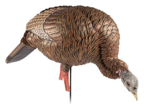 Avian X (gsm) Hdr, Avian Avxavx8107   Hdr Feeding Hen          Decoy
