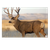 Birchwood Casey Eze-scorer, Bir 37482          Ezescorer 23x35 Mule Deer   2pk