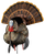Avian X (gsm) Hdr, Avian Avxavx8108   Avx Hdr Strutter         Decoy