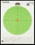 Champion Targets Score Keeper, Champ 45795      100yd Lg Grn Bulleye 12pk