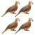 Avian X (gsm) , Zink Znk-dove-4pk Full Body Dove 4pk