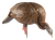 Avian X (gsm) Hdr, Avian Avxavx8107   Hdr Feeding Hen          Decoy