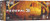 Federal Fusion 22arc 90gr - Fusion 20rd 10bx/cs