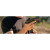 SIG P226X LEGN DA 9MM 18R 4