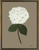 Silver Bead Option 2 Frame