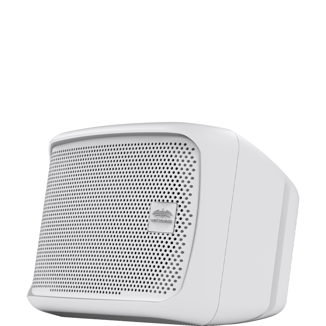 Venue Series 6x9 White HLCD Outdoor Speaker | Wet Sounds