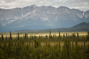 Off Roading in Alaska