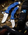 CSSD SC CRMIPT Satin 8Cr13MoV Blue G10 Military Training Knife with two open knives and a third folded knife resting in a sheath
