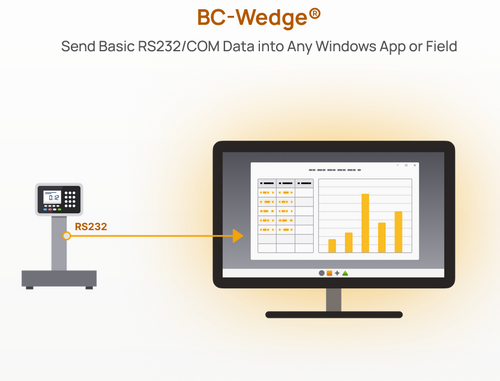 TALtech BC-Wedge RS232/USB Data Capture Software