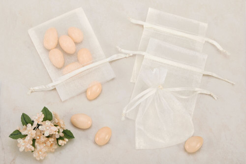 Ivory Organza Party favor Bags (pack of 10)