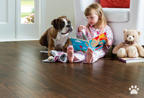 Pet & Kid Friendly