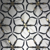 Lotus Lotus