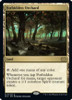 Forbidden Orchard # 323 Foil - M:tG - Double Masters 2022 - Rare
