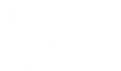 Tern Overland