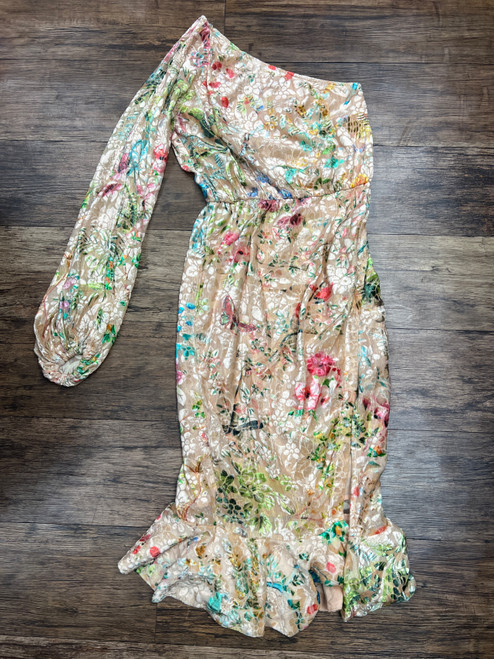 Vist Large View of Product Image Which is Used Hemant + Nandita Long Dress B S-4/6
