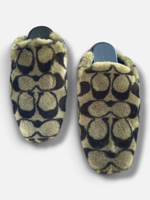 Vist Large View of Product Image Which is Used Coach Clogs 11