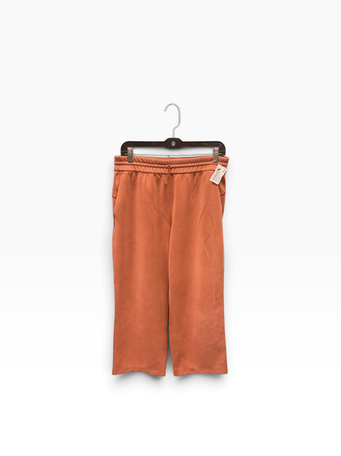 Vist Large View of Product Image Which is Used Lululemon Athletica Active Pant 10-30