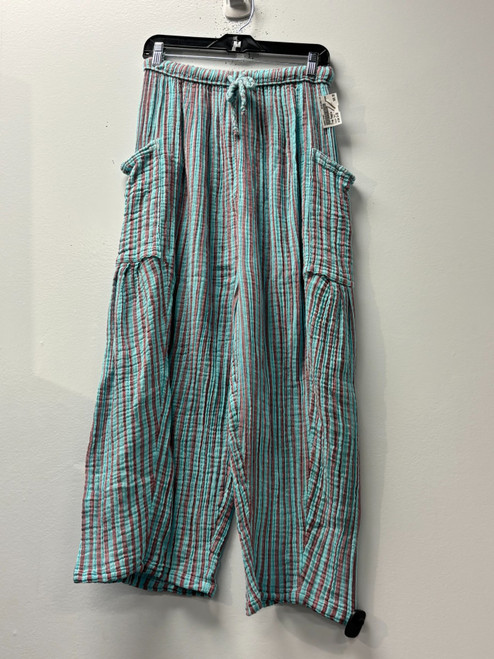 Vist Large View of Product Image Which is Used Free People Casual Pant 8-29