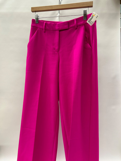 Vist Large View of Product Image Which is Used Express Dress Pant 4-27