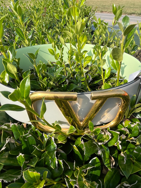 Vist Large View of Product Image Which is Used Valentino reversible Belt F MEDIUM