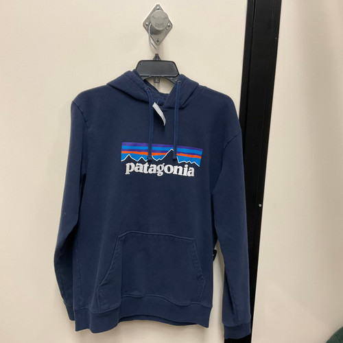 Vist Large View of Product Image Which is Used Patagonia Sweatshirt P M-8/10