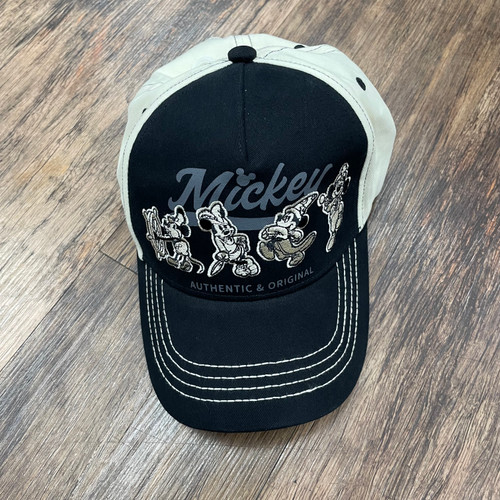 Vist Large View of Product Image Which is Used Disney Summer Hat M 8-10/28-30