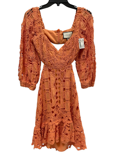 Vist Large View of Product Image Which is Used Alexis Short Dress F XS-0/2