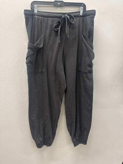 Vist Large View of Product Image Which is Used NWT Grey Aerie Casual Pant XL 16/33 60137-S000066358