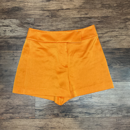 Vist Large View of Product Image Which is Used Alice + Olivia Shorts 6-28