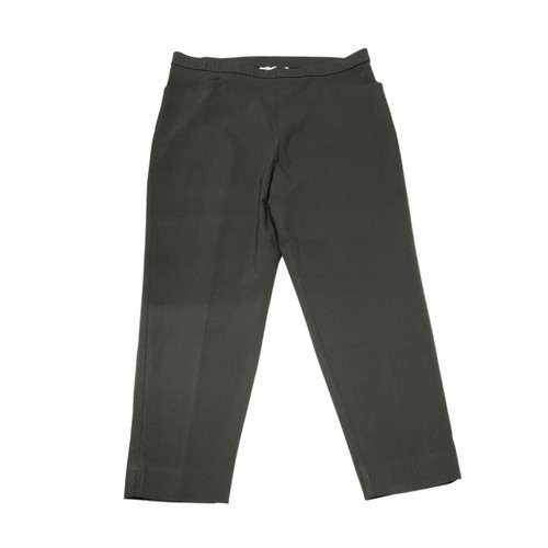 Vist Large View of Product Image Which is Used Susan Graver Casual Pant 20-35