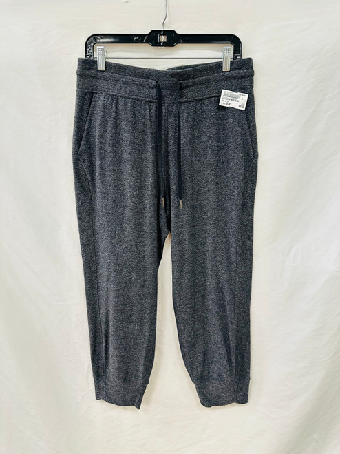 Vist Large View of Product Image Which is Used Lululemon Athletica Active Pant 10-30