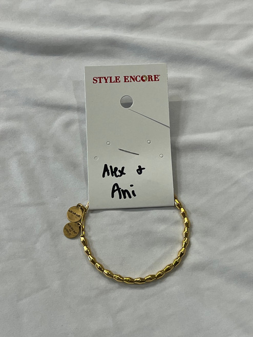 Vist Large View of Product Image Which is Used Alex And Ani Bracelet