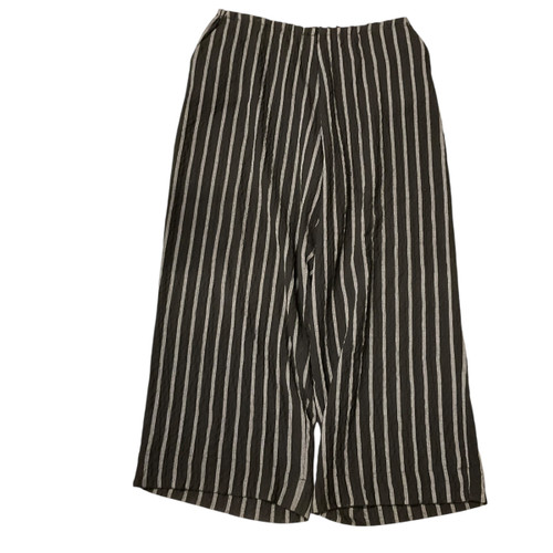 Vist Large View of Product Image Which is Used Alembika Casual Pant 16-33
