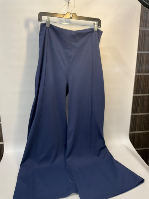 Vist Large View of Product Image Which is Used Zyia Active Pant XL 16/33