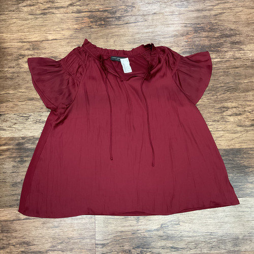 Vist Large View of Product Image Which is Used Lane Bryant Short Sleeve Top XL-16