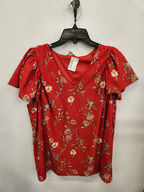 Vist Large View of Product Image Which is Used Cato Short Sleeve Top 1X-18