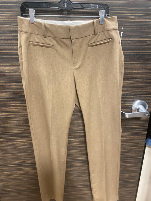 Vist Large View of Product Image Which is Used Calvin Klein Casual Pant 8-29