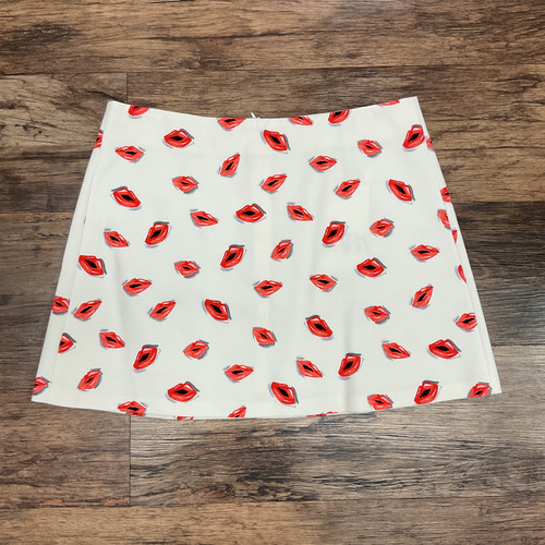 Vist Large View of Product Image Which is Used Zara Short Skirt 8-29