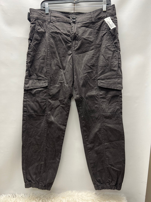 Vist Large View of Product Image Which is Used Sanctuary Casual Pant 12-31