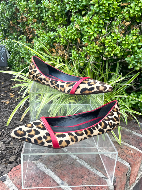 Vist Large View of Product Image Which is Used Liviana Conti Flats 6