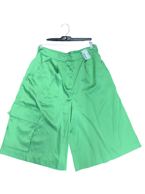 Vist Large View of Product Image Which is NWT Hutch-Antropologie Shorts M 8-10/28-30