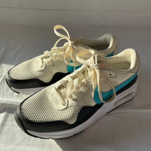 Vist Large View of Product Image Which is Used Nike Performance Shoes 6.5